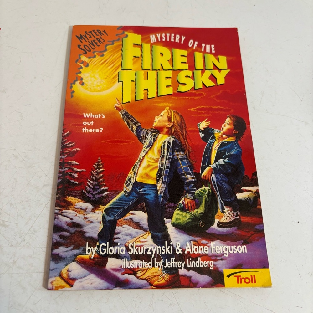 🛍️3/$30 Vtg Mystery of the fire in the sky paperback book novel teens YA kids